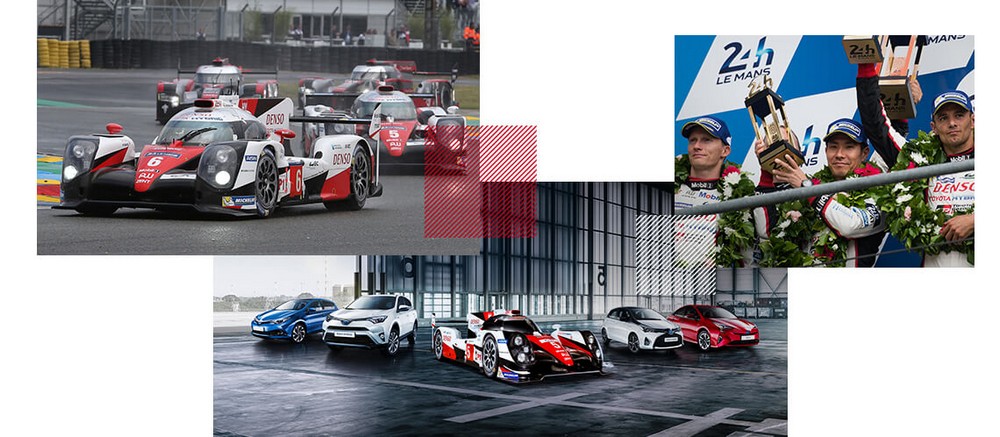 6_tgr_wec_mosaic_tcm_3046_778421 6_tgr_wec_mosaic_tcm_3046_778421